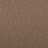 Dark Caramel